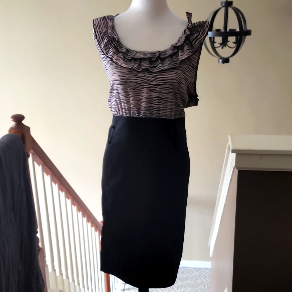 Knee Length Zebra Print Dress